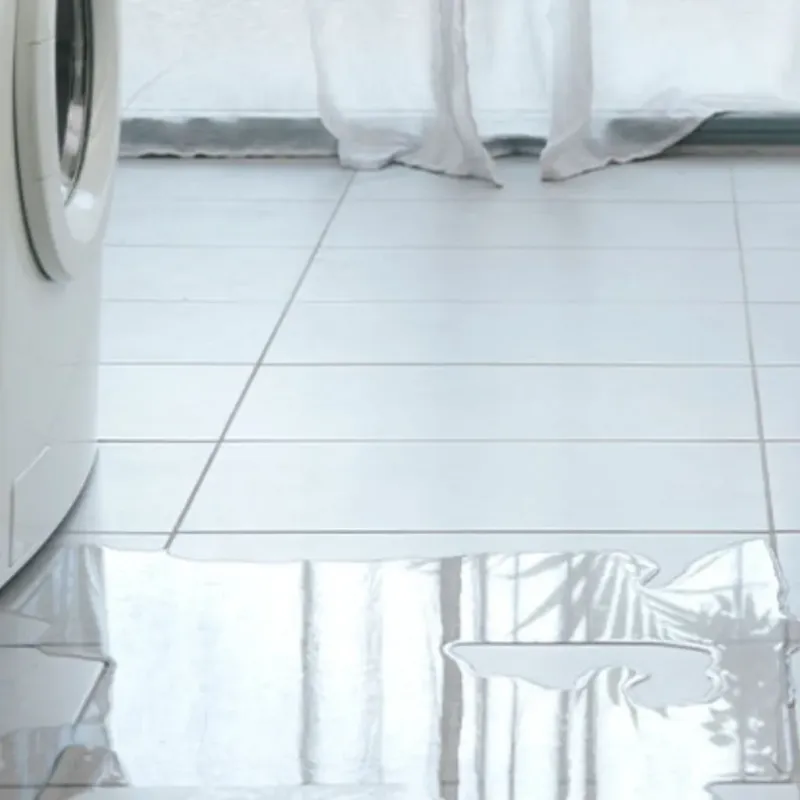 Appliance Leak Cleanup in Oak Park, MI