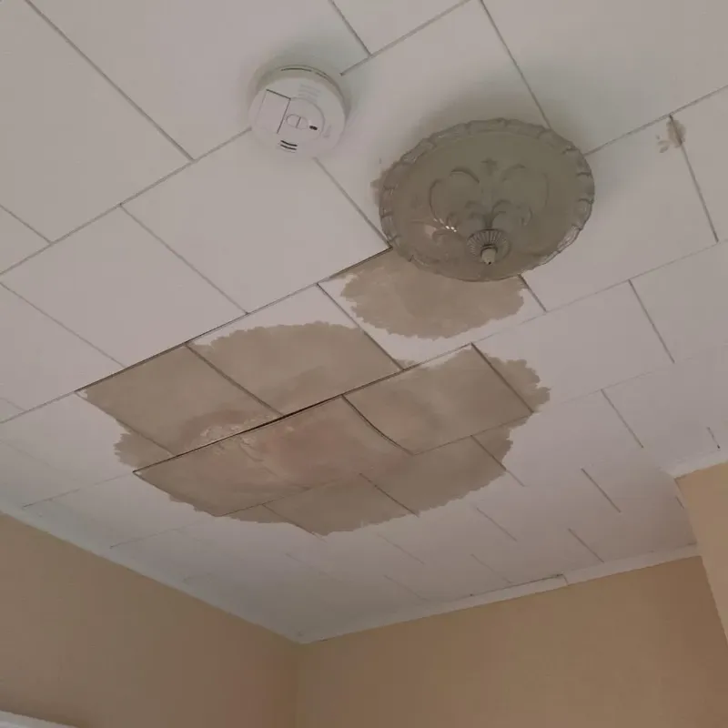 Ceiling Water Damage Repair in Oak Park, MI