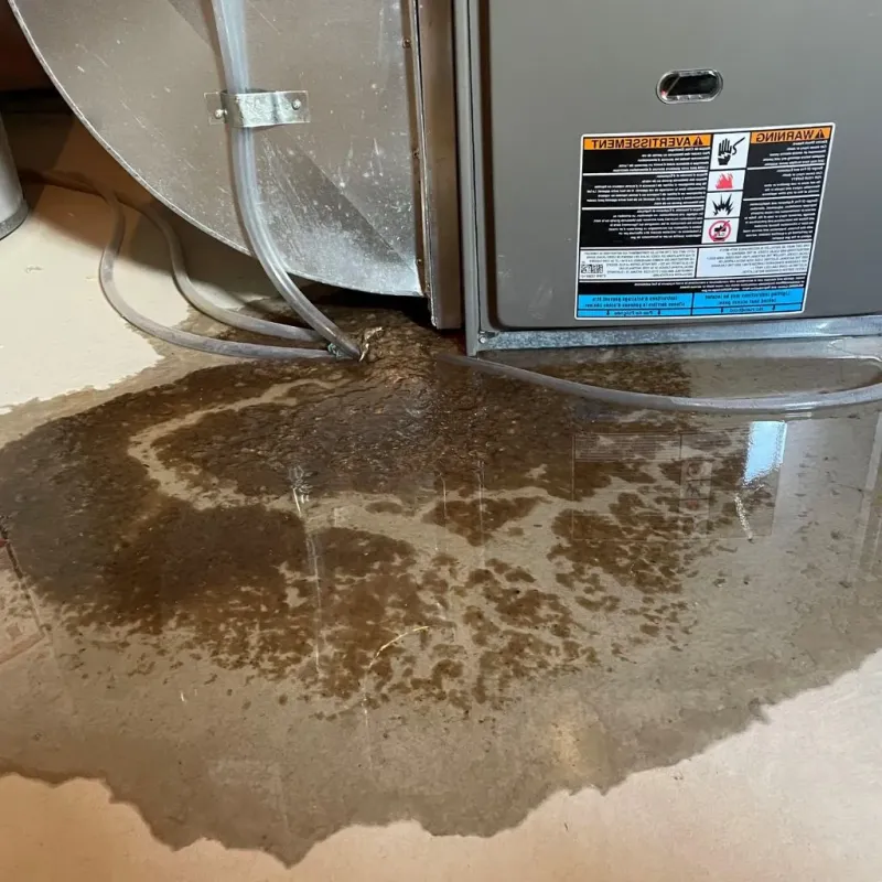 Pipe Burst and Leak Restoration in Oak Park, MI